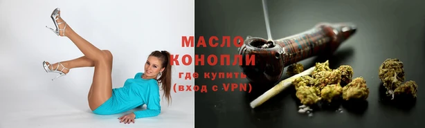 шишки Михайловск