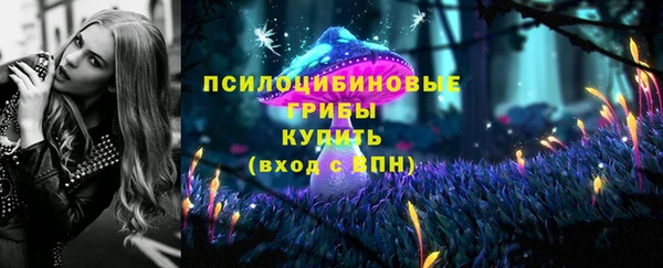 прущие крисы Алексеевка